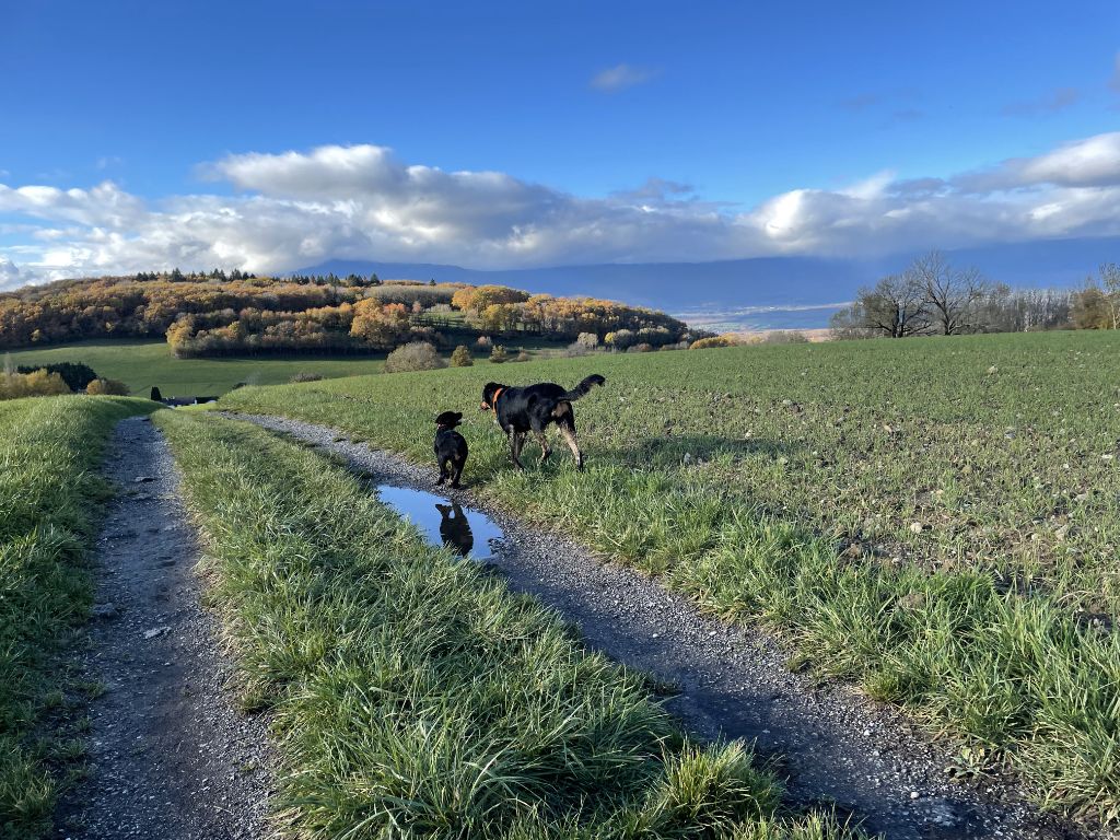 En mode : promenade