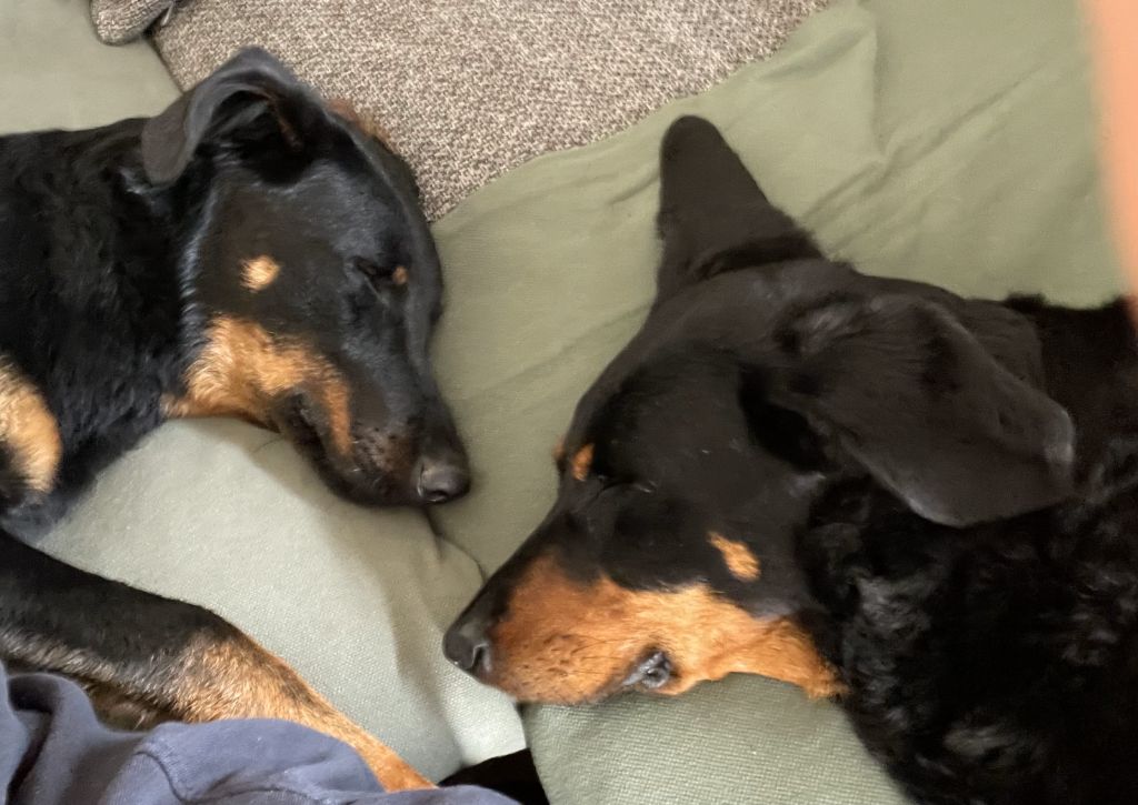 Repos bien mérité